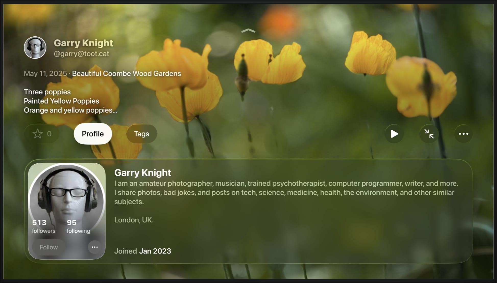 TV screen with a photo of yellow poppy flowers, credited to Garry Knight, @garry@toot.cat. Below that is a translucent panel showing more info about the photographer with a button to follow them and a menu with more actions.